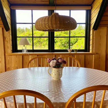 Ferienhaus 20039-ulfborg-sortebaervej-8 Øhuse